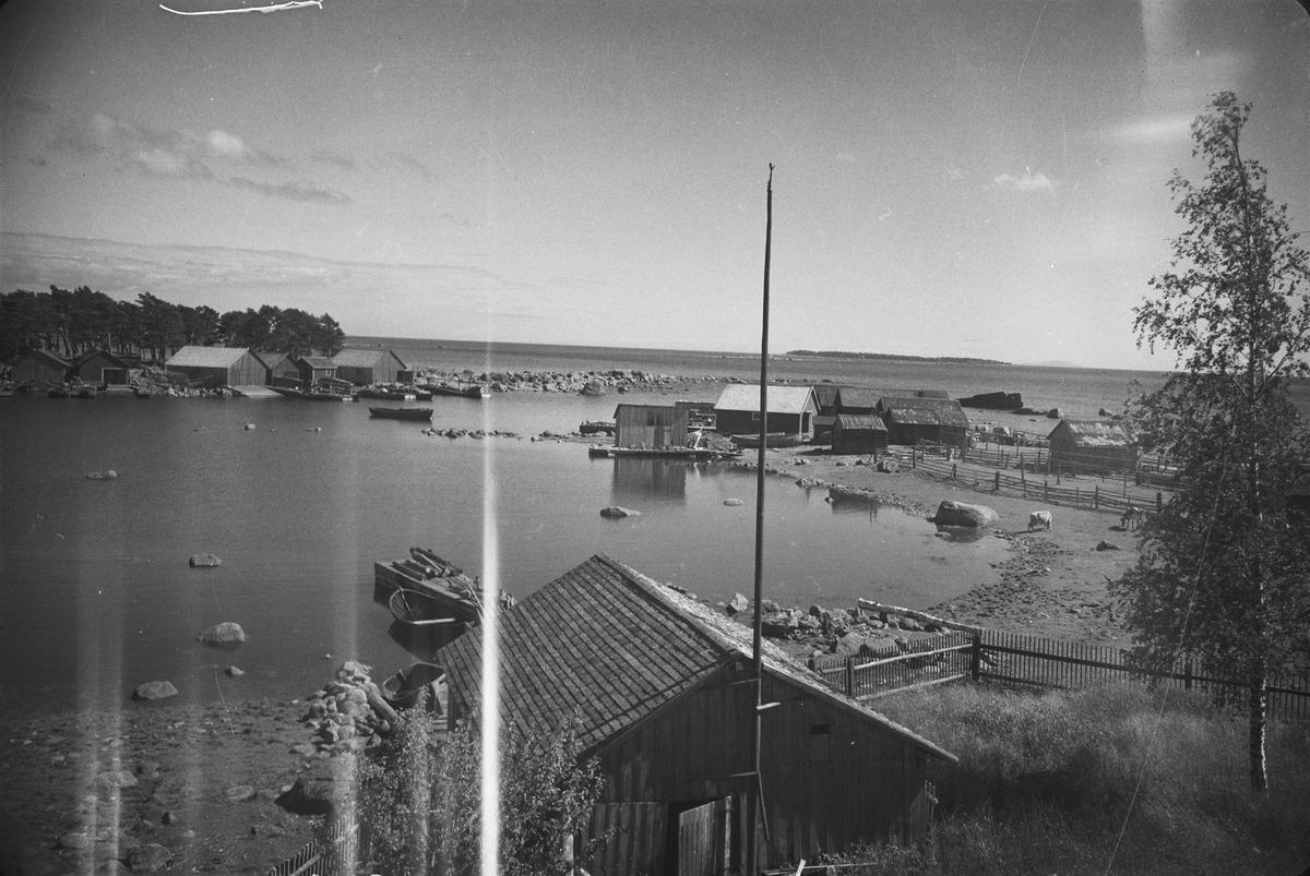 Kaunissaaren kalastajakyl Pyhtll, Kuva: Kyytinen Pekka 1947-1949, Museovirasto