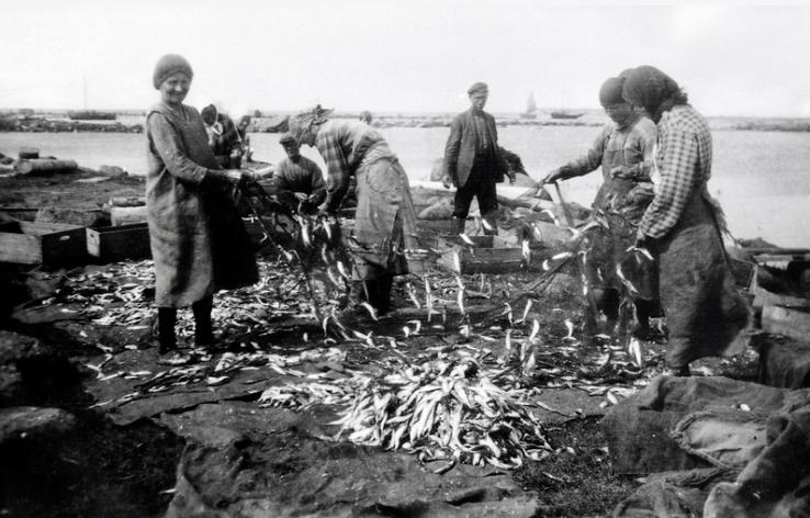 Suurkyln naisia putsaamassa verkkoja, Kymenlaakson museo